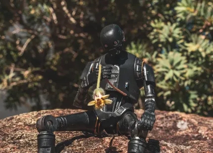 מובילאוטומטן קזינו אפליקציה לנייד